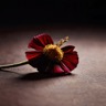 thistle_and_thorn avatar
